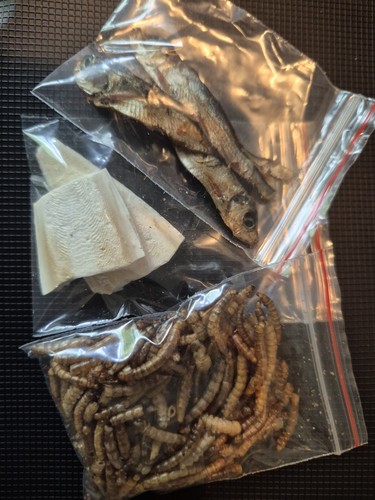 Protein calcium bundle - bundle, |