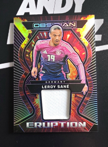 Leroy sané germany - leroy,