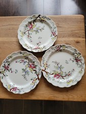 Booths Chinese Tree Salad