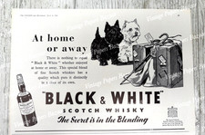 Black & White Scotch Whiskey