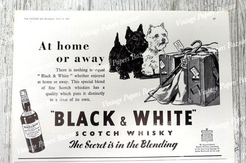 Black white scotch whiskey - black,