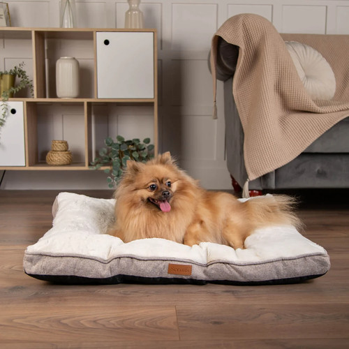 Scruffs cosy dog mattress - scruffs,