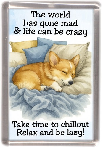 Corgi dog fridge - dog, by