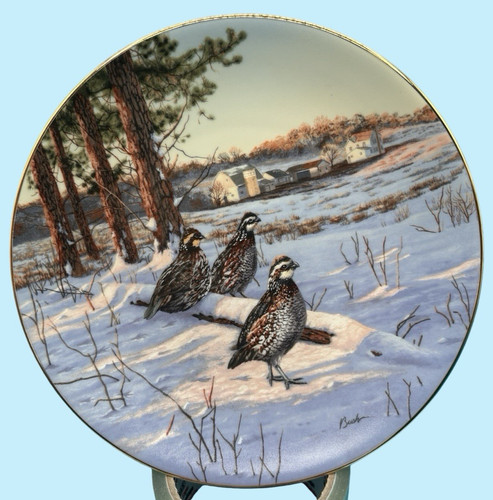 Morning light bobwhite quail - light",
