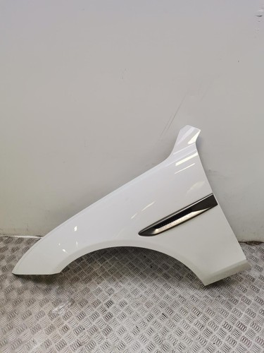 Jaguar front wing fender - jaguar,