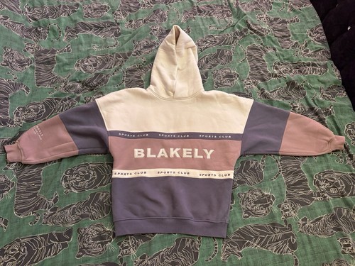 Alpine oversized hoodie - alpine,
