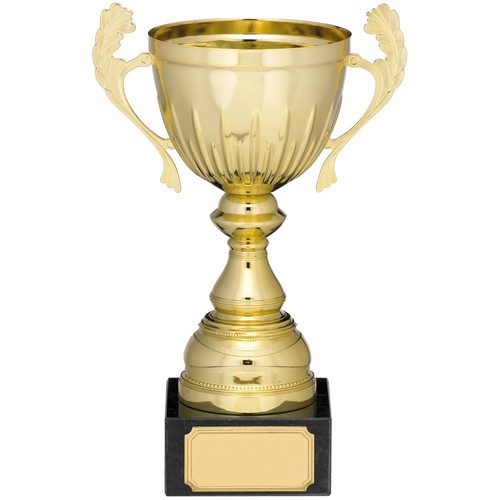 Gold cup presentation - gold,