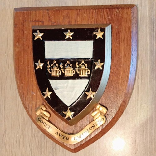 Vintage university wales - university,