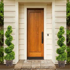 Set of 2 Spiral Topiary
