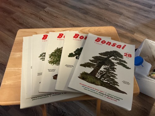 Bonsai today magazine full - today,,