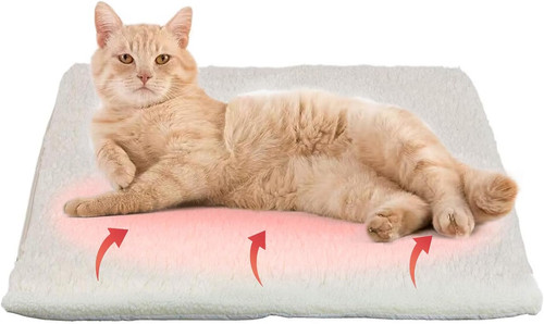 Self heating thermal - self-heating, pet