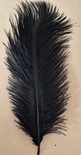 Ostrich feathers 12 - feathers, 10"