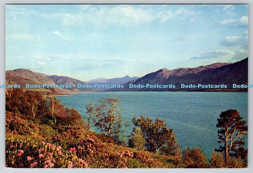 D317426 loch broom wester - broom.,