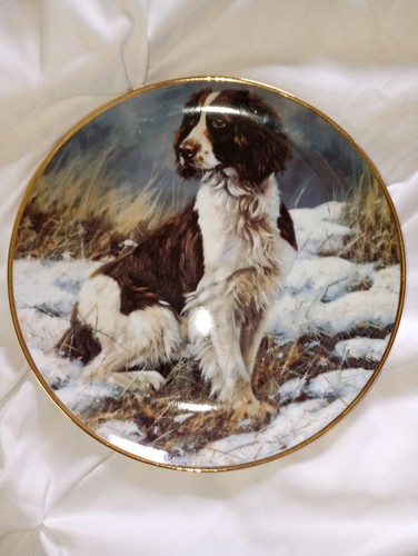 The springer spaniel - the, porcelain
