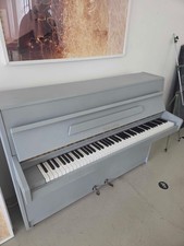 Beautiful fuchs mohr - mohr, upright
