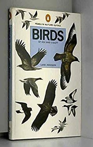 Birds sea and coast - and,
