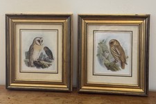 Pair of Prints of Owls Framed
