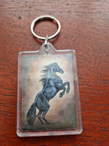 Rearing black stallion - *,