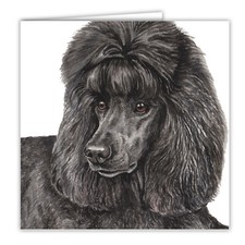 Black Poodle greetings card