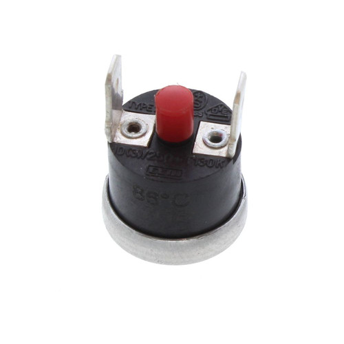 Glow worm 801724 - glow-worm,