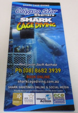 Calypso Star - Shark Cage &