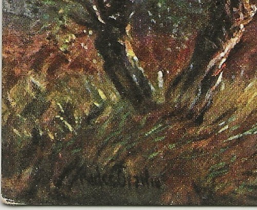 314 postcard landscape - 73/314,