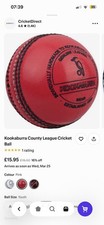 Adult Leather Cricket Balls