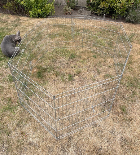 Portable metal wire - pet, dog