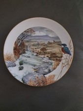Royal Worcester 9" Plate 1979