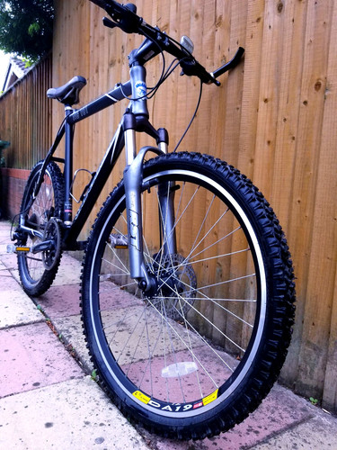 Black hard tail - tail, mountain