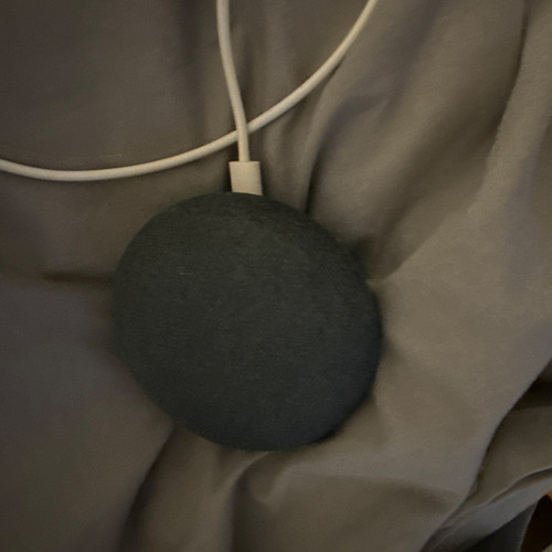Google nest mini - nest, speaker