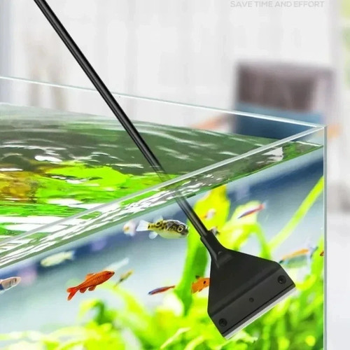 Aquarium stainless steel - steel, fish