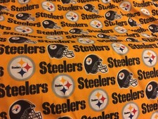 Pittsburgh Steeler NFL Team