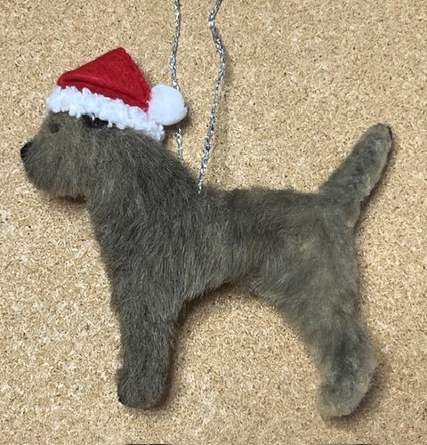Border terrier with - border,