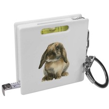 'Lop Eared Bunny Sitting'