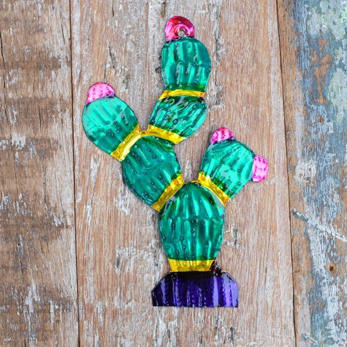 Mexican tin cactus flowering - mexican,