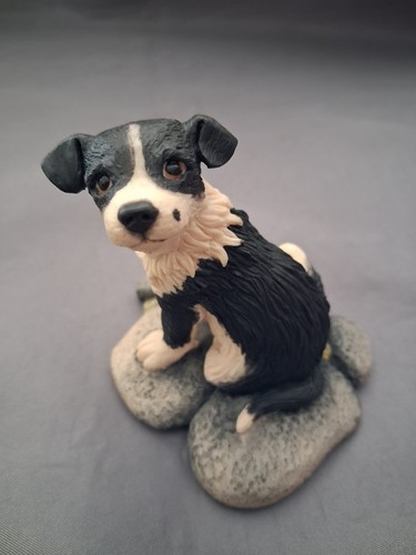 Border fine arts collie pup - collie,