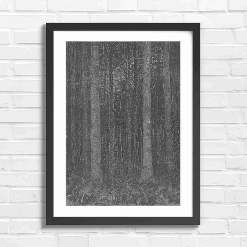 Dark forest tree - dark, trunks