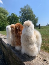 Alpaca Soft Toy - Medium 12"