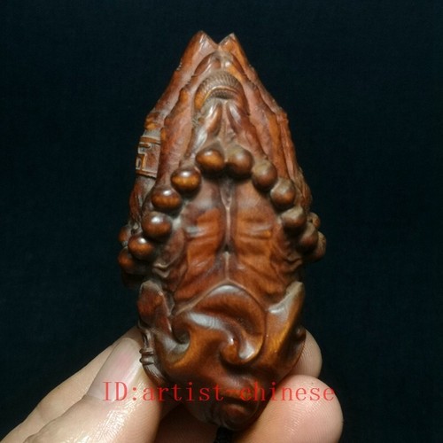 Inch old japanese boxwood - japanese,