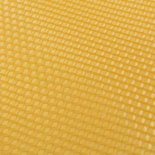 10pcs wax frames honey - honey, hive