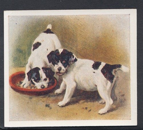 Godfrey phillips cigarette - phillips,