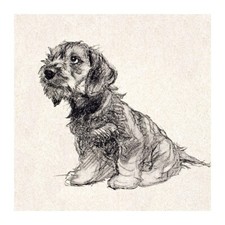 Beautiful Puppy Love Dog