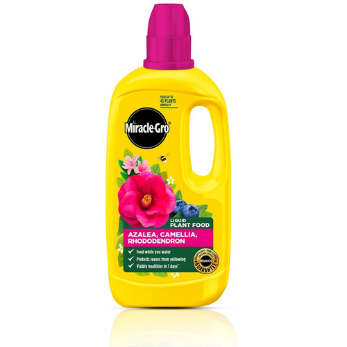 Miracle gro azalea camellia - azalea,, camellia&