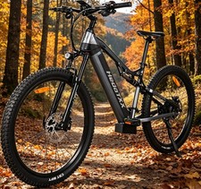 Heda TX19 29'' Electric Bike