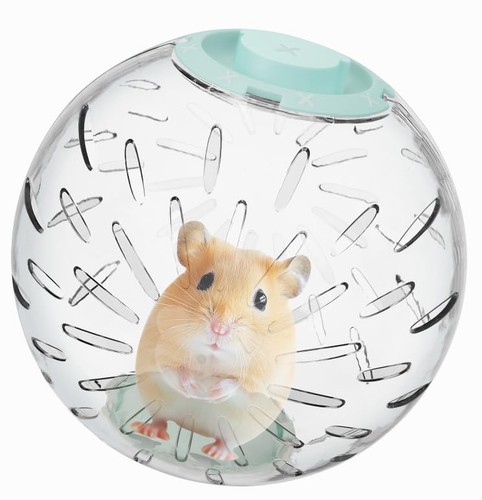 Inch hamster ball - inch,