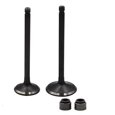 Inlet exhaust valve - inlet, set