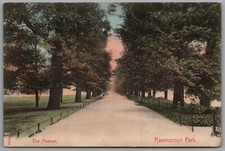 LONDON Ravenscourt Park The Avenue Postcard Posted 1904