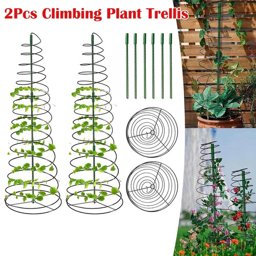 2pcs climbing plant - climbing, spiral