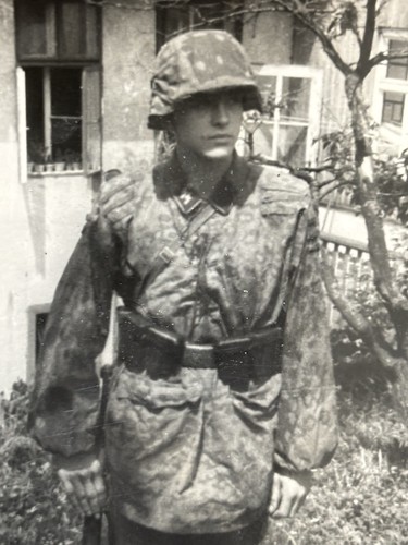 Waffen soldier pea - ss, in